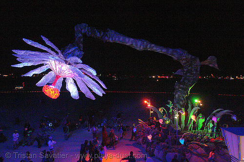 miracle grow aka hope flower - burning-man 2006