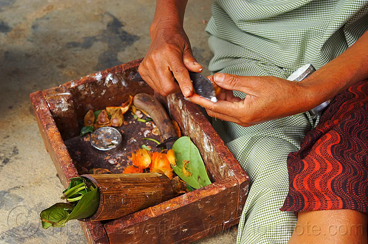 khasi-woman-preparing-betel-nut-india