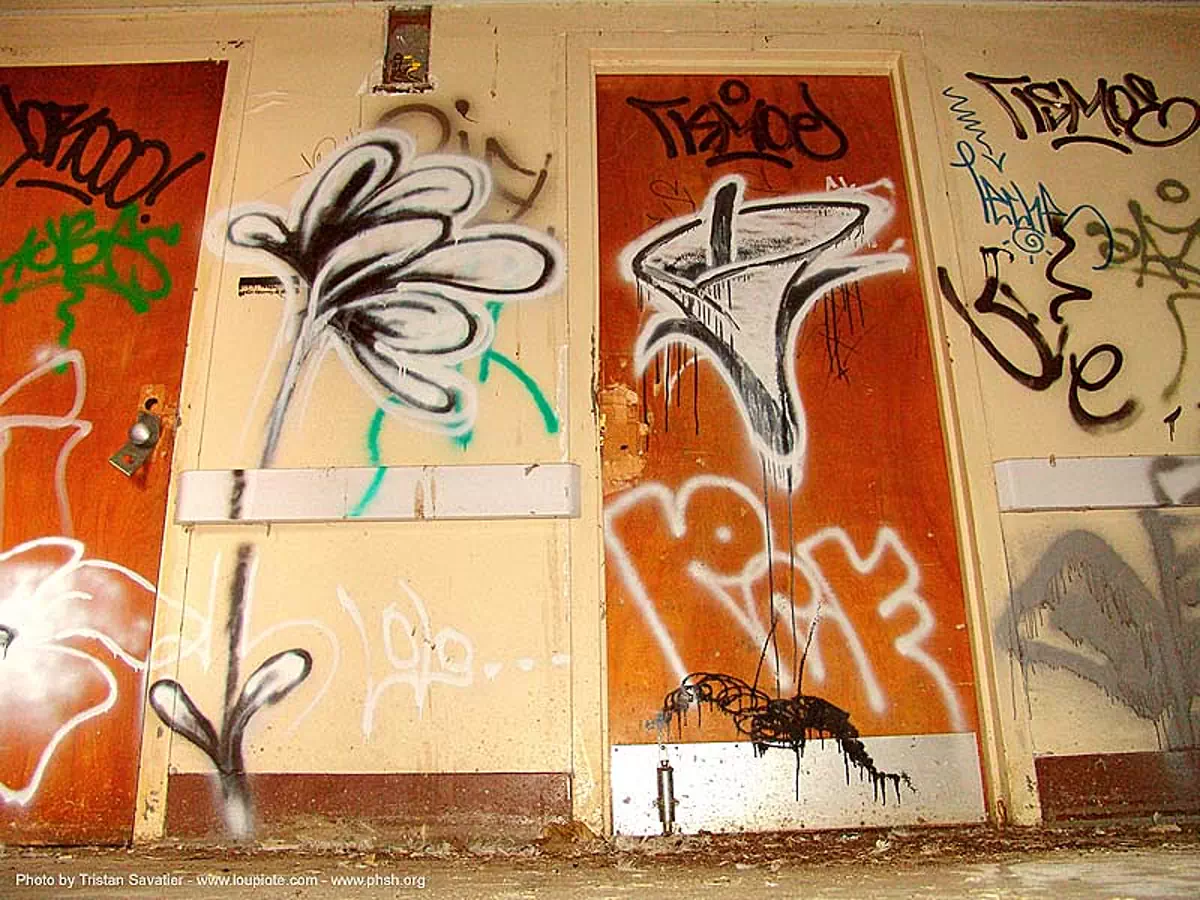 graffiti - flowers - LOLO, abandoned building, abandoned hospital, decay, presidio hospital, presidio landmark apartments, trespassing, urban exploration, stock photo