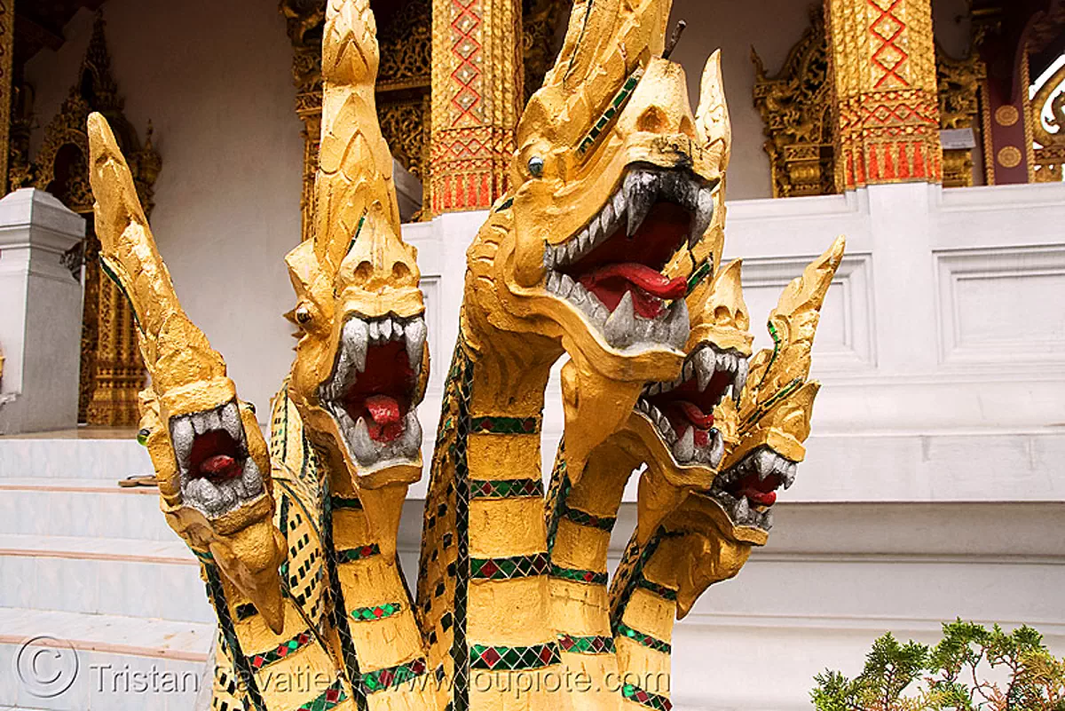 five-headed Nāga snake in temple - luang prabang (laos), buddhism, five headed, nāga dragon, nāga snake, sculpture, stock photo