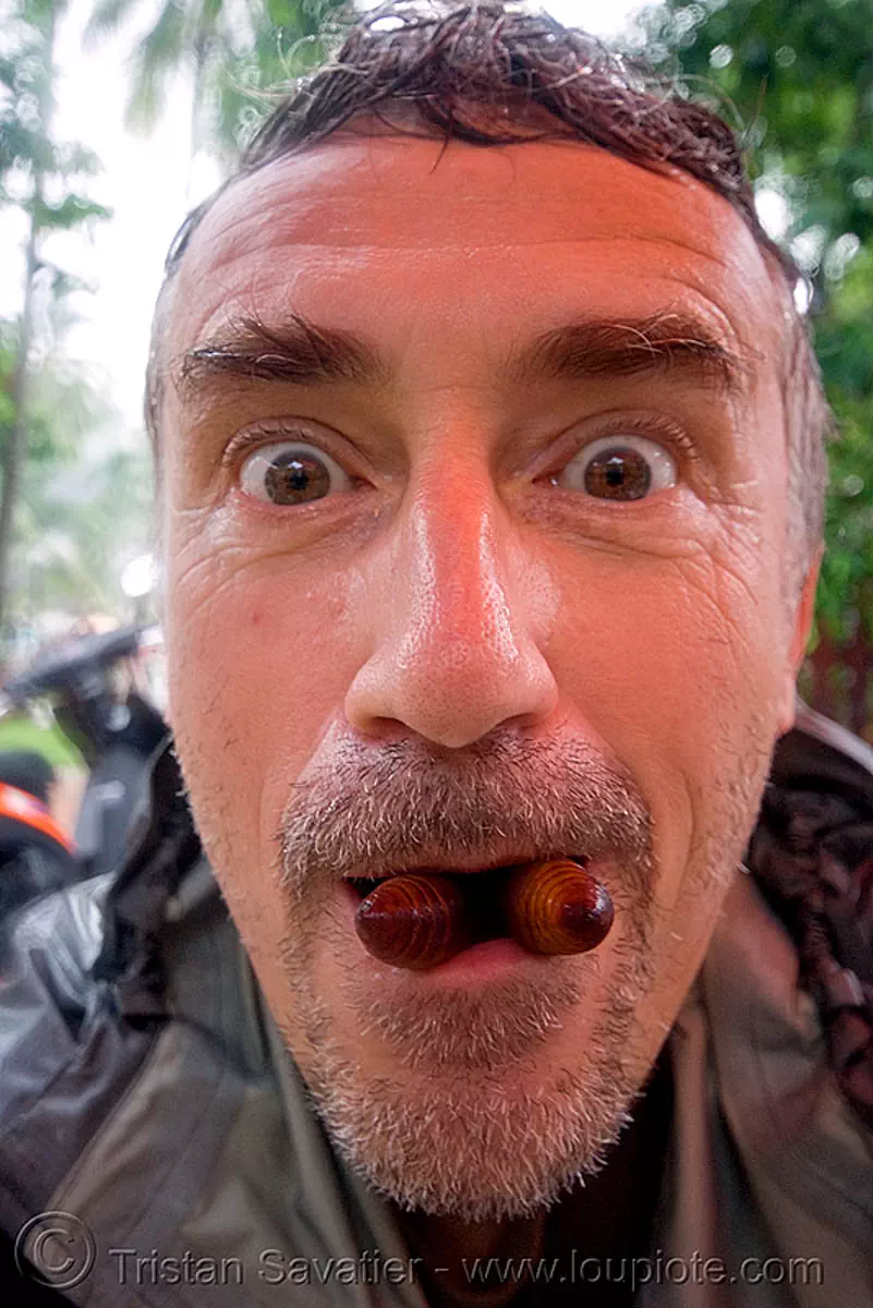 me eating big live insect larvas - luang prabang (laos), alive, eating bugs, eating insects, edible bugs, edible insects, entomophagy, food, larva, larvae, man, self portrait, tristan savatier, stock photo