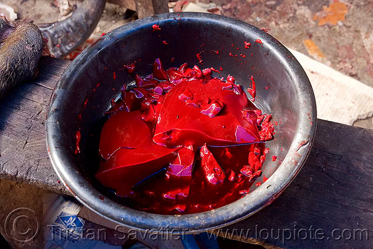 caked blood, beef, cake, cow blood, meat market, meat shop, raw meat, red, water buffalo, stock photo