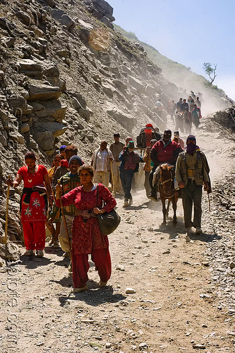ponies and pilgrims on the trail - amarnath yatra (pilgrimage) - kashmir, amarnath cave, horse-riding, horses, many, mountain trail, mountains, trekking, yatris, अमरनाथ गुफा, stock photo