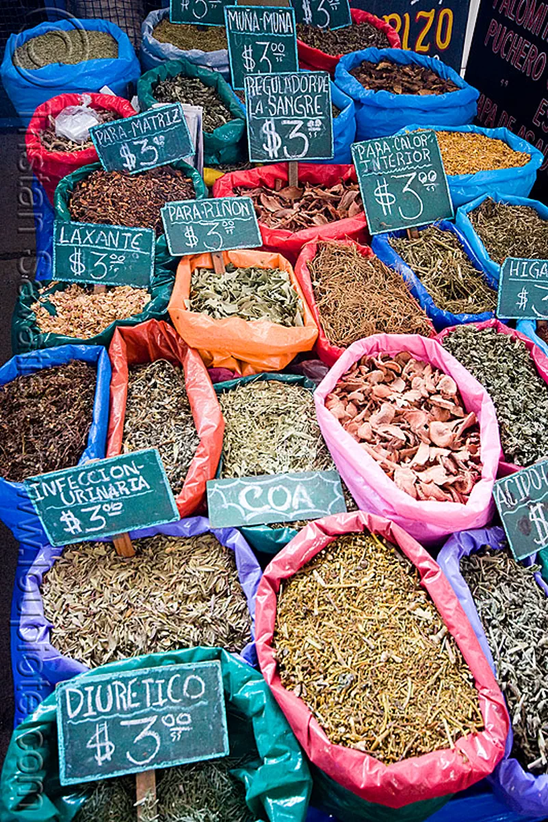 medicinal herbs and plants (jujuy, argentina), farmers market, jujuy capital, medicinal plants, noroeste argentino, san salvador de jujuy, vegetables, stock photo