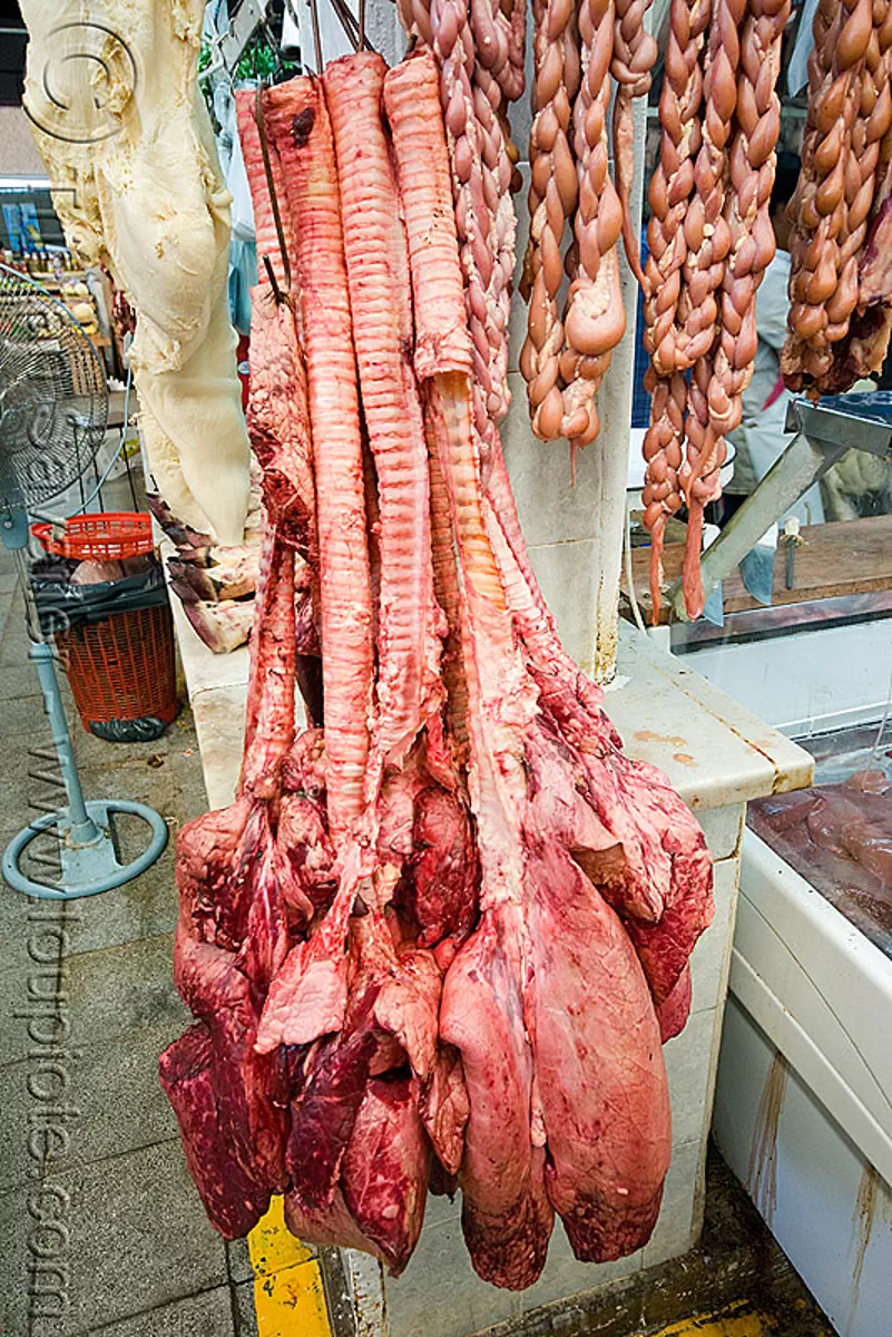 beef lungs and tracheas, bronchial tubes, butcher, meat market, meat shop, mercado central, noroeste argentino, raw meat, salta