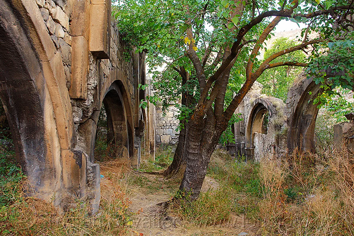 georgian church ruin (turkey), byzantine architecture, orthodox christian, oshki monastery, religion, ruins, trees, turkey country, vaults, &ouml;şk, &ouml;şkvank, stock photo
