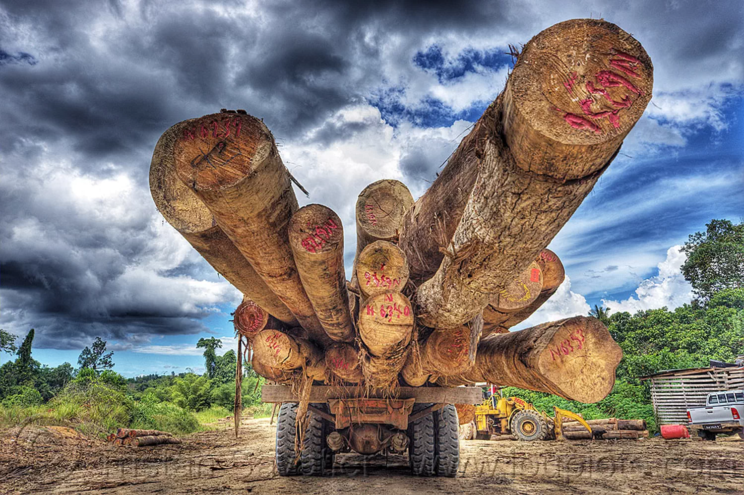 6572218513-logging-truck.jpg