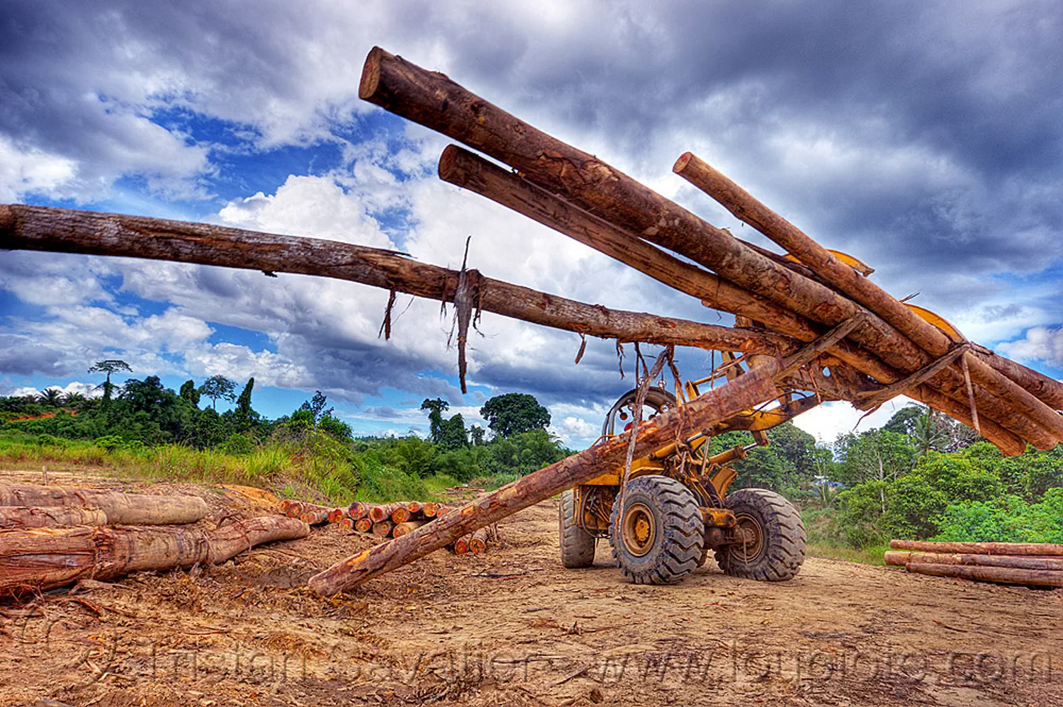 caterpillar 966C with logging fork moving tree logs, cat 966c, clouds, cloudy sky, deforestation, environment, front loader, heavy equipment, hydraulic, logging camp, logging forks, machinery, tree logging, tree trunks, wheeled loader, yellow, stock photo