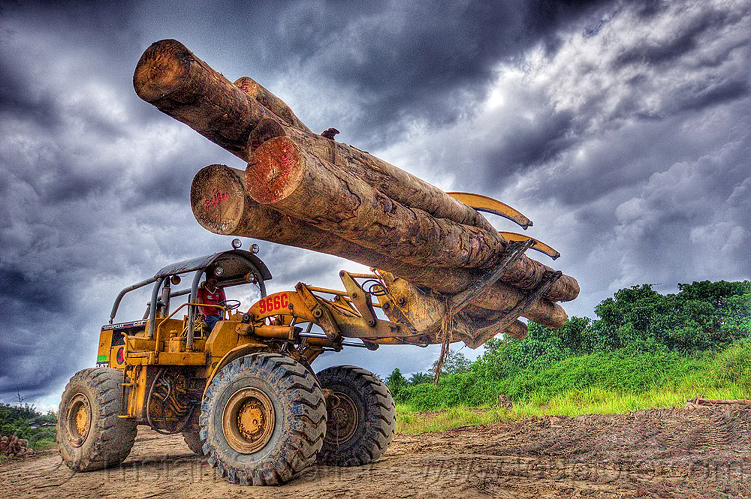 wheeled loader moving tree logs, cat 966c, caterpillar 966c, clouds, cloudy sky, deforestation, environment, front loader, heavy equipment, hydraulic, logging camp, logging forks, machinery, tree logging, tree trunks, yellow, stock photo