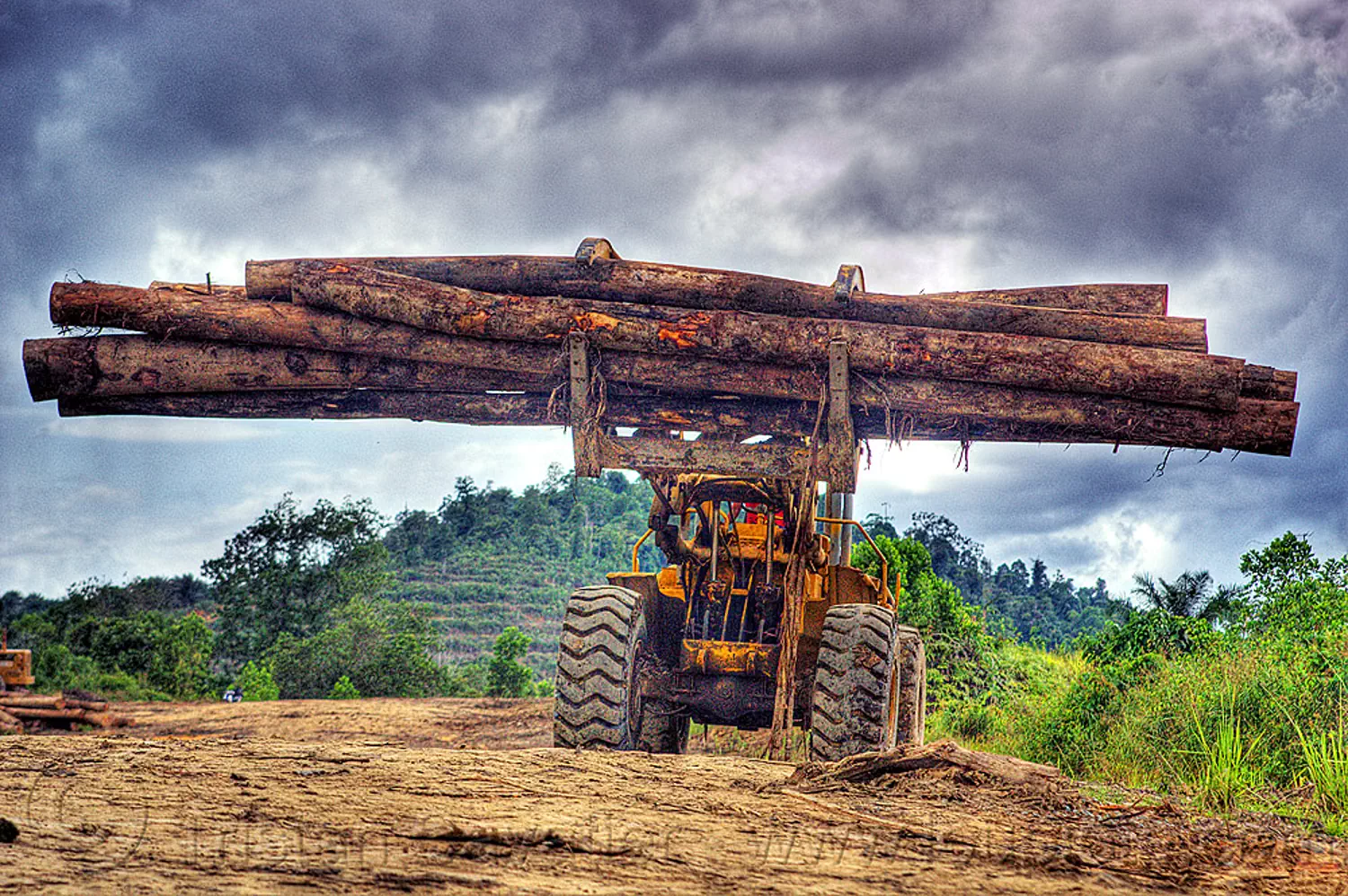 wheeled loader with logging fork moving tree logs, cat 966c, caterpillar 966c, clouds, cloudy sky, deforestation, environment, front loader, heavy equipment, hydraulic, logging camp, logging forks, machinery, tree logging, tree trunks, yellow