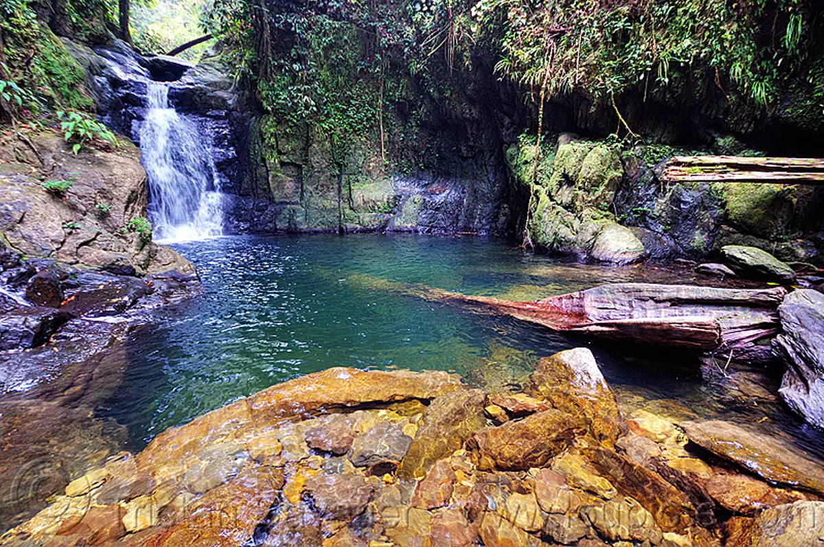 waterfall and swimming hole - garden of eden - mulu (borneo), falls, gunung mulu national park, jungle, rain forest, river, water, stock photo