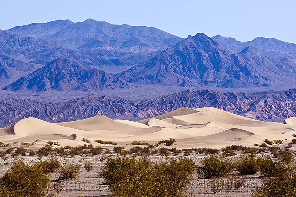 death valley sand dunes, bushes, desert, mountains, stovepipe wells, stock photo