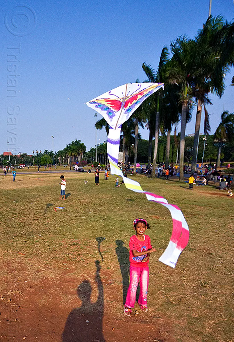kid flying a kite in merdeka square (jakarta), child, eid ul-fitr, java, medan merdeka, palm trees, park, shadows, stock photo