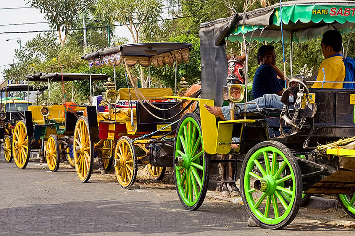 horse carriages parked, draft horse, draught horse horse, horse carriage, java, jogja, jogjakarta, street, yogyakarta