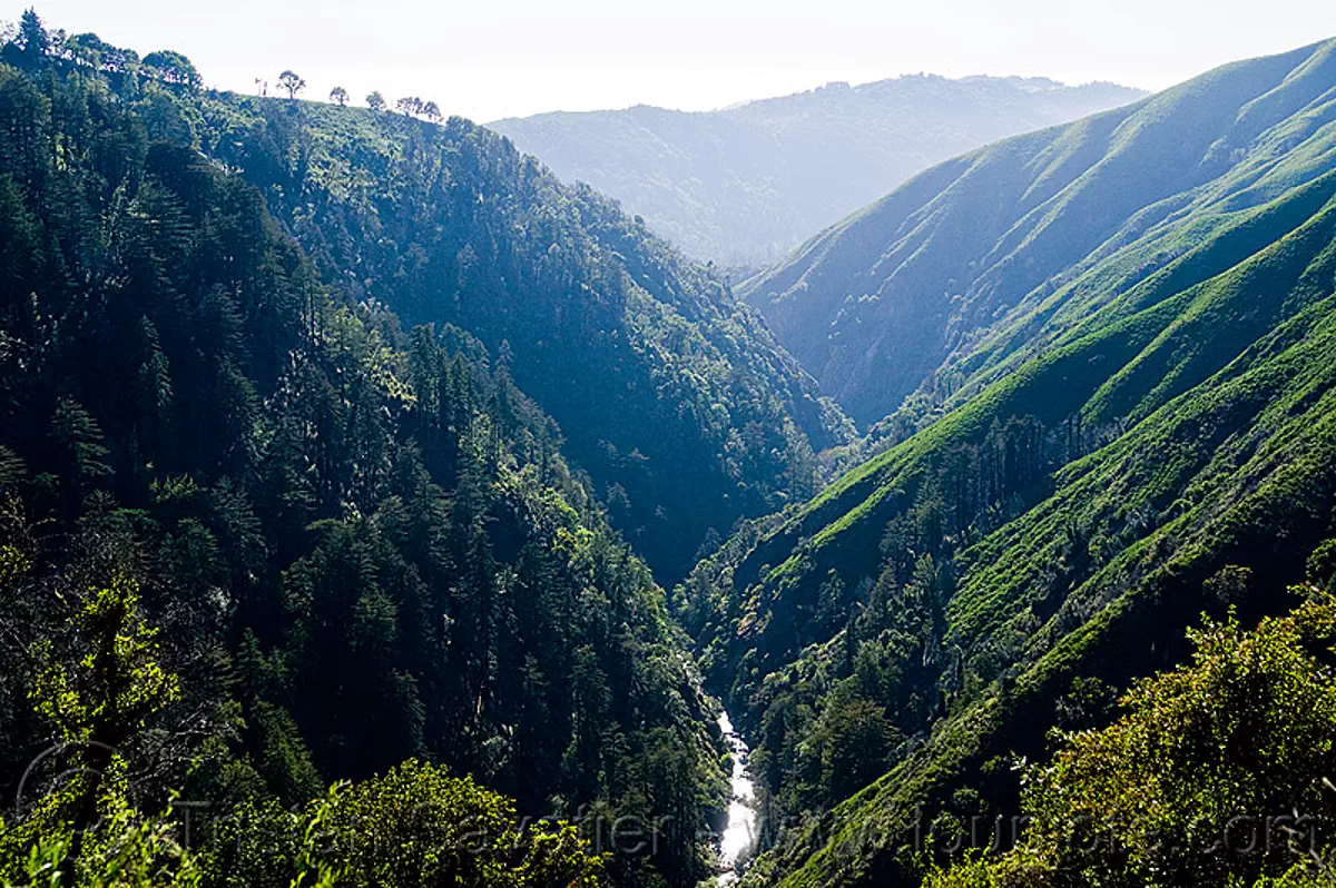 big sur canyon, big sur river, forest, pine ridge trail, stream, trees, trekking, valley, vantana wilderness, stock photo