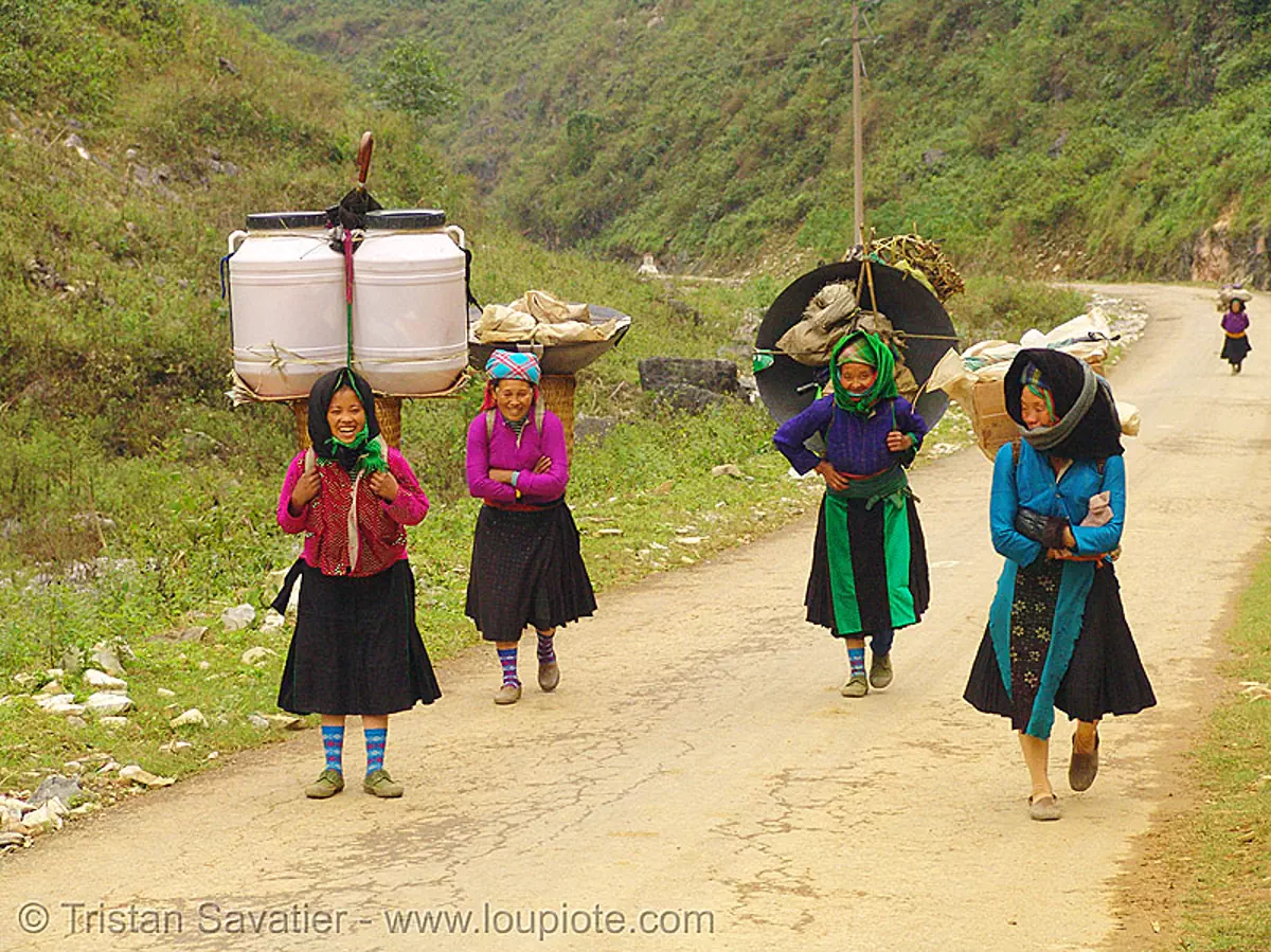 tribe women carrying huge loads - vietnam, asian woman, asian women, backpacks, freight, hill tribes, load, porters, road, tribe girls, stock photo