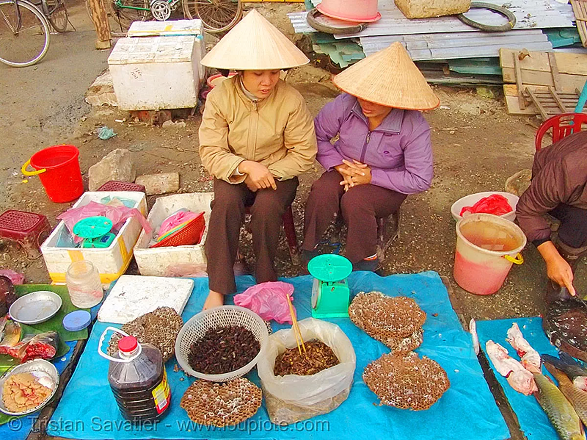 women selling bees and wasps on the market - vietnam, beehives, cao bang, cao bằng, eating bugs, eating insects, edible bugs, edible insects, entomophagy, food, merchant, vendor, stock photo
