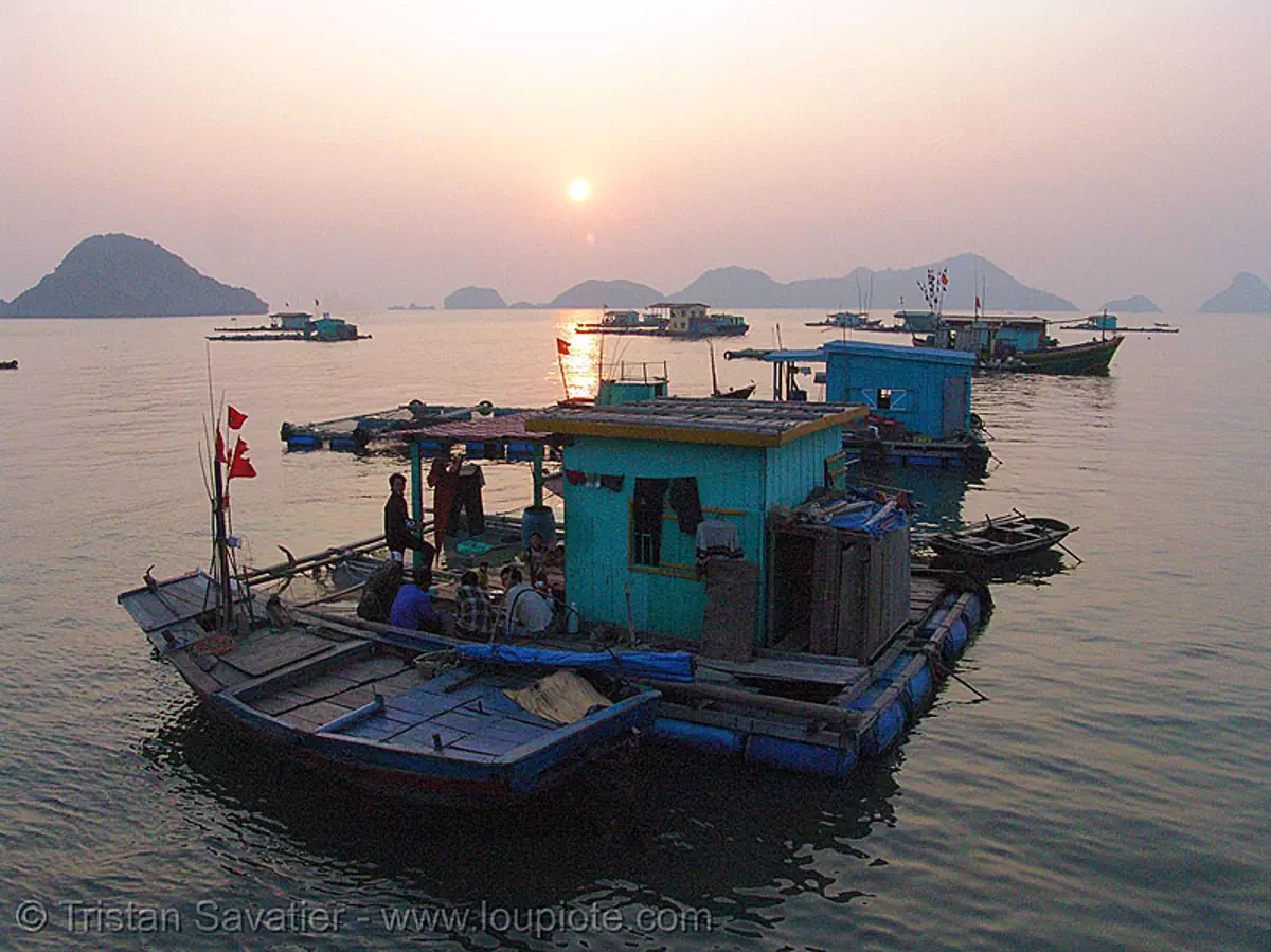 floating houses, vietnam