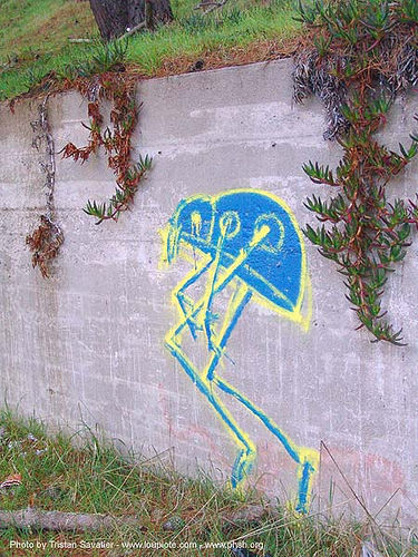 graffiti - abandoned hospital (presidio, san francisco) - phsh