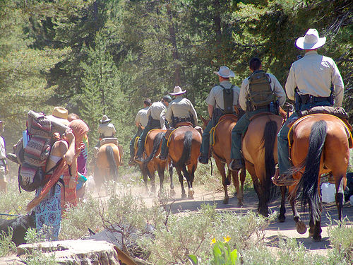 mounted police - rainbow gathering - hippie - horses