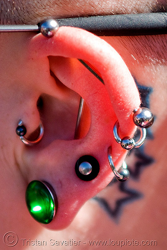 ear piercings pictures. industrial (scaffold) ear piercing, barbell, cartilage piercing, ear 