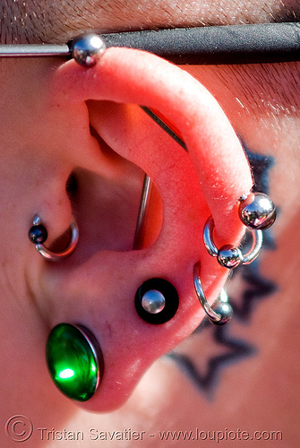 piercing the tragus. images tragus ear piercing.