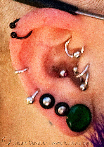 Photos of various types of body piercing (ear, nose, lip, eyebrow, tongue, 