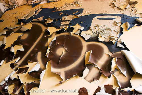 peeling paint - abandoned hospital (presidio, san francisco) - PHSH
