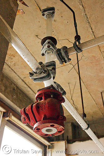 glass vaccum tubing - abandoned hospital (presidio, san francisco) - PHSH