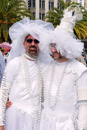 Organza or satin chair sashes