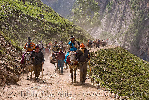 ponies and pilgrims on the trail - yatra - pilgrimage to amarnath cave - indian-administered kashmir
