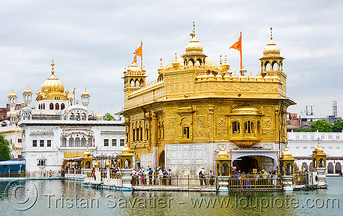 amritsar golden temple wallpaper. tattoo Golden Temple in