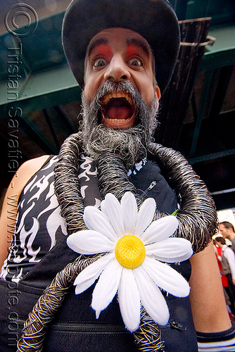 Steven Raspa