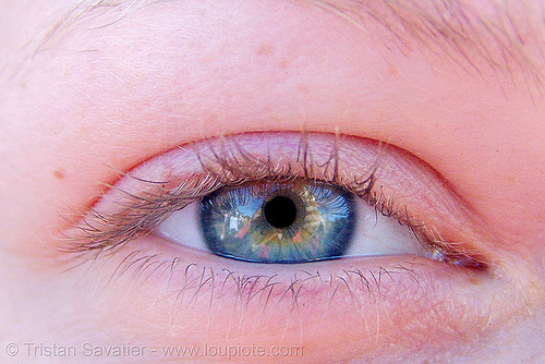 crystal's eye