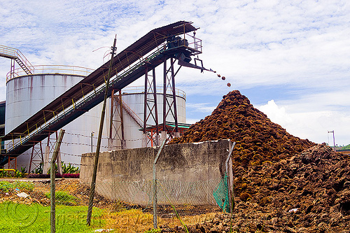 Palm Oil Mill