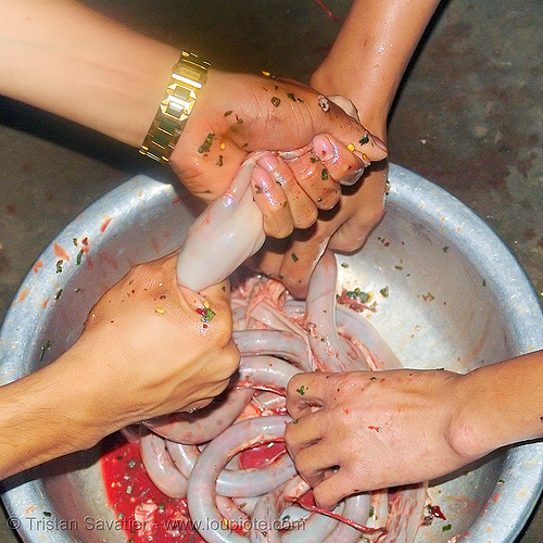 dog meat - stuffing the intestine to make sausages. or should we say, "hot dogs" - thịt ch&oacute; - vietnam