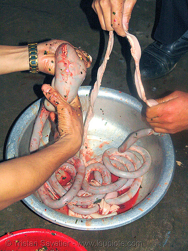 dog meat - stuffing the intestin to make sausages. or should we say, "hot dogs" - thịt ch&oacute; - vietnam
