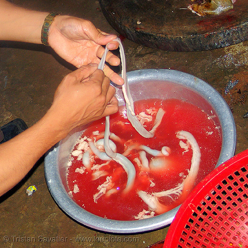 dog meat - cleaning  the intestine to make sausages. or should we say, "hot dogs" - thịt ch&oacute; - vietnam