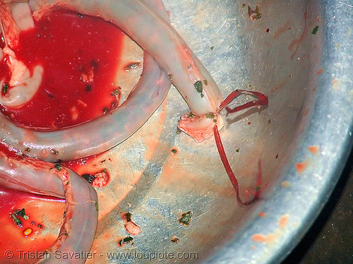 dog meat - making sausages. or should we say, "hot dogs" - thịt ch&oacute; - vietnam