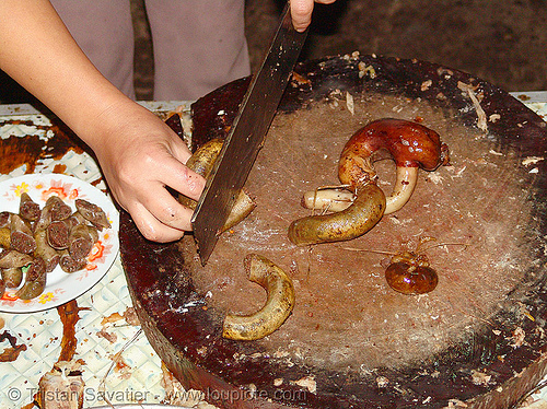 dog blood sausage sold on the market - thịt ch&oacute; - vietnam