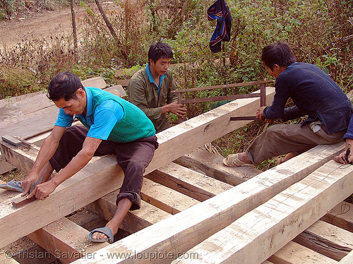 wood carpenters