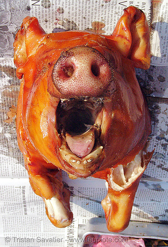 roasted piglet snout - vietnam