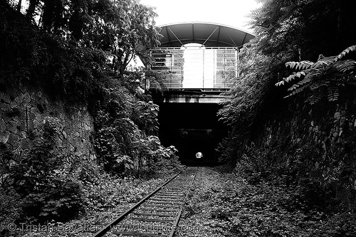abandoned underground railway (paris, france) - petite ceinture, railroad tracks, railway tracks, railway tunnel, trespassing
