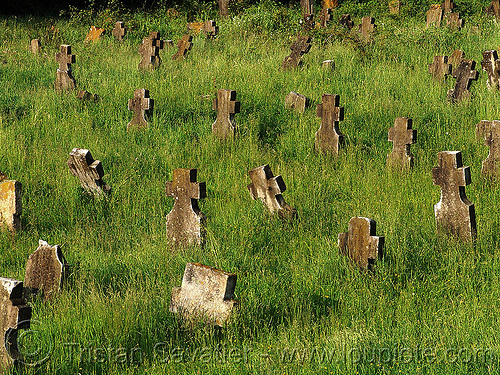 abandoned war cemetery, belogradchik, christian orthodox cemetery, crosses, grass, graves, graveyard, military cemetery, tombstone, trespassing, war cemetery