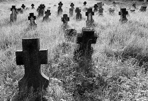 abandoned war cemetery - belogradchik (bulgaria), backlight, belogradchik, christian orthodox cemetery, crosses, graves, graveyard, military cemetery, tombs, tombstone, trespassing, war cemetery