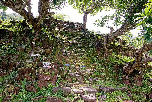 ancient stone stair - wat phu champasak (laos), hindu temple, hinduism, khmer temple, ruins, stone stairs, trees, wat phu champasak
