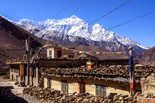 annapurna lodge in kagbeni village (nepal), annapurna lodge, annapurnas, guesthouse, kagbeni, kali gandaki valley, mountains, nilgiri, peak, snow, village