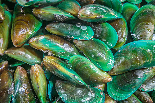 asian green mussels (philippines), baguio, fish market, green mussels