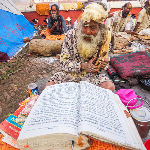 baba (hindu devotee) reading mantras from big book (nepal), baba, book, hindu, hinduism, kathmandu, maha shivaratri, man, mantras, pashupatinath, praying, reading, sadhu, white beard