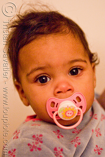 baby with pacifier - mia, baby, child, girl, kid, mia, pacifier, toddler